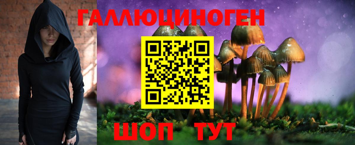 Псилоцибиновые грибы Cubensis Майский